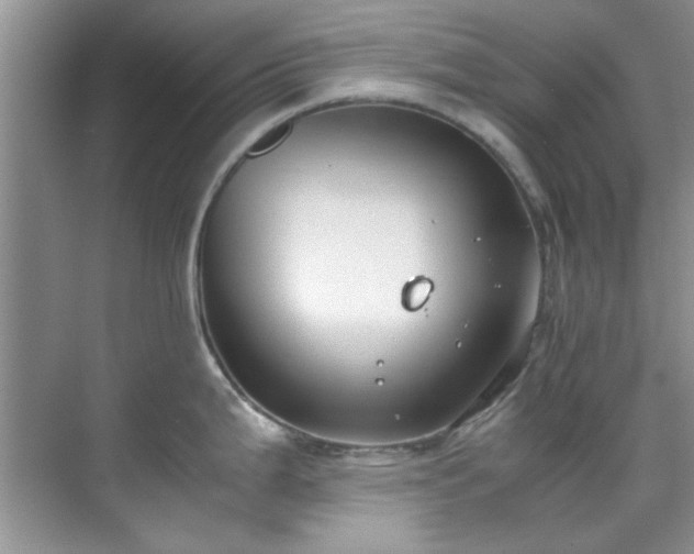 X0000070431199200606161456