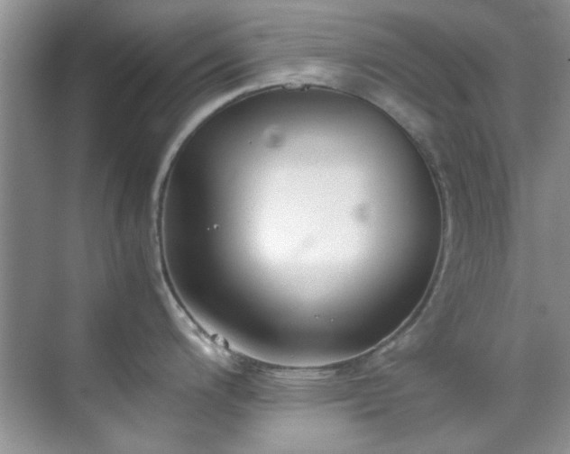 X0000070431200200606161456