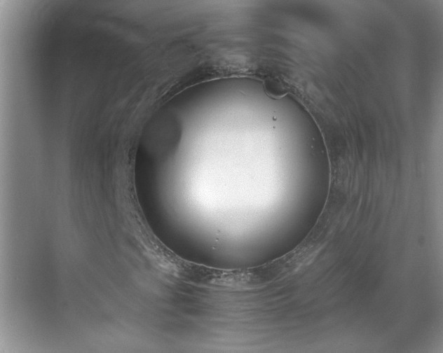 X0000070431201200606161455