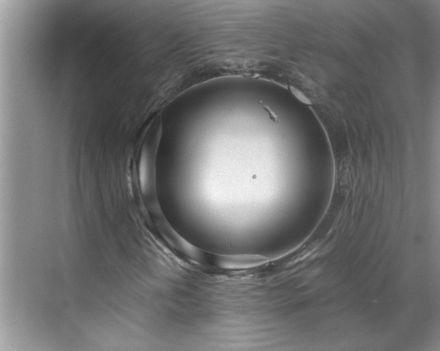 X0000070431202200606161455