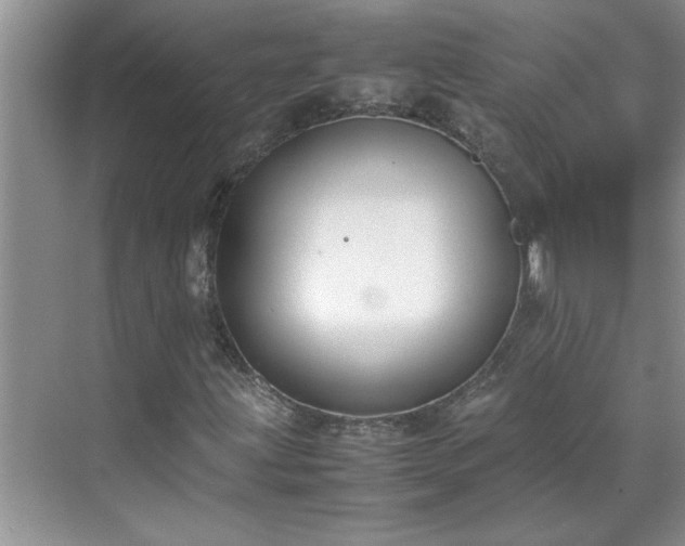 X0000070431203200606161455