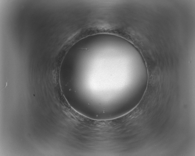 X0000070431205200606161455