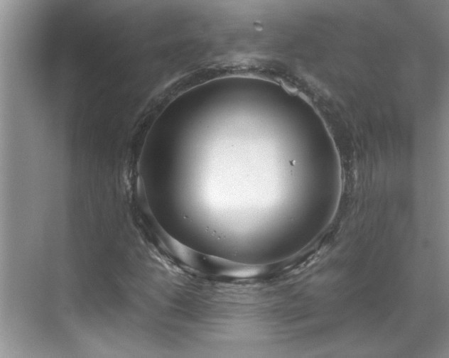 X0000070431206200606161455