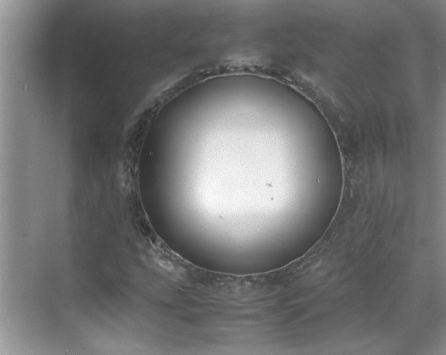 X0000070431207200606161455