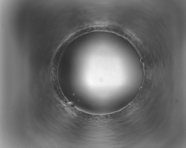 X0000070431208200606161455