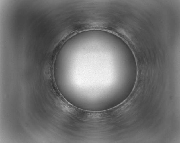 X0000070431211200606161455