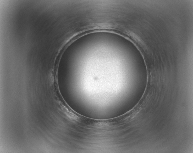 X0000070431212200606161455