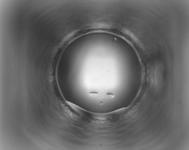 X0000070431213200606161455