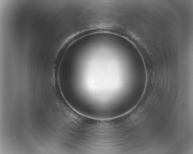 X0000070431214200606161455