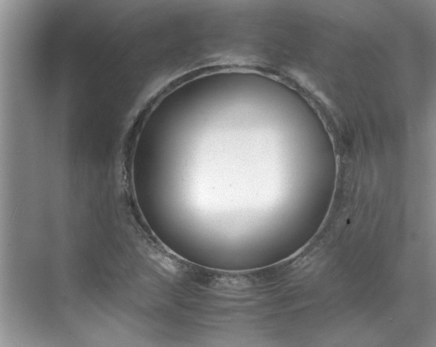 X0000070431215200606161455