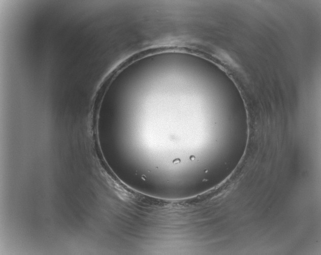 X0000070431216200606161455