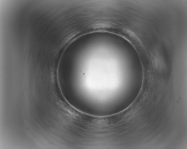 X0000070431217200606161455