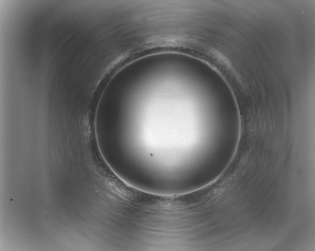 X0000070431218200606161455