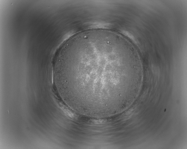 X0000070431219200606161455