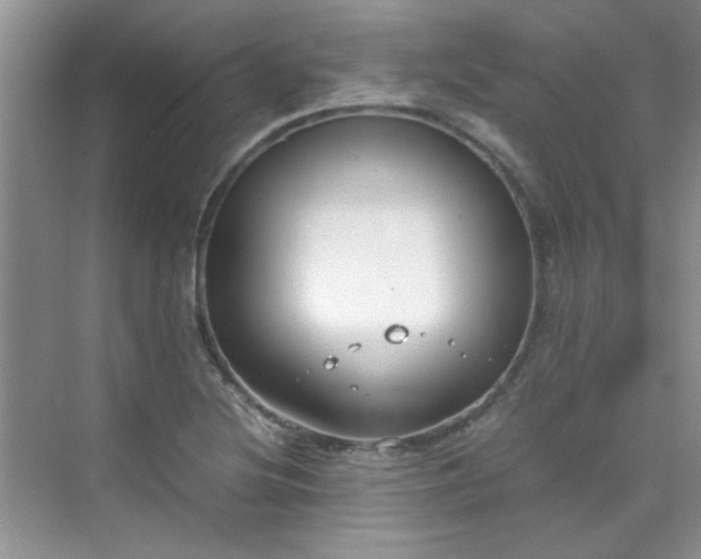 X0000070431220200606161455