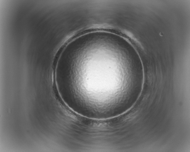 X0000070431221200606161455