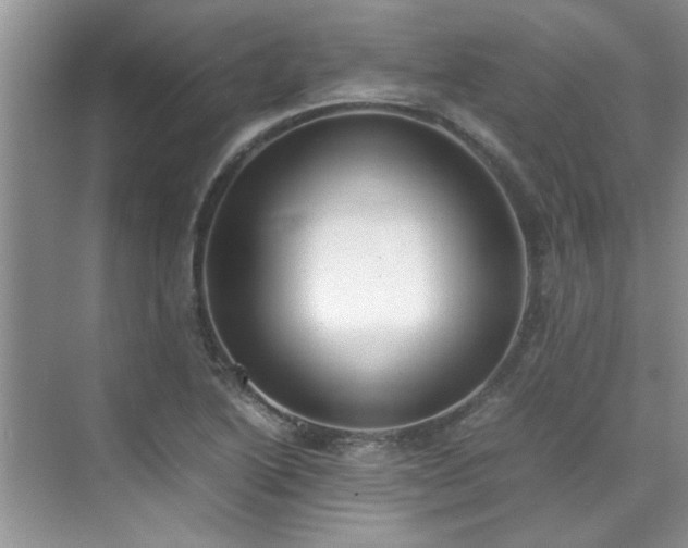 X0000070431222200606161455