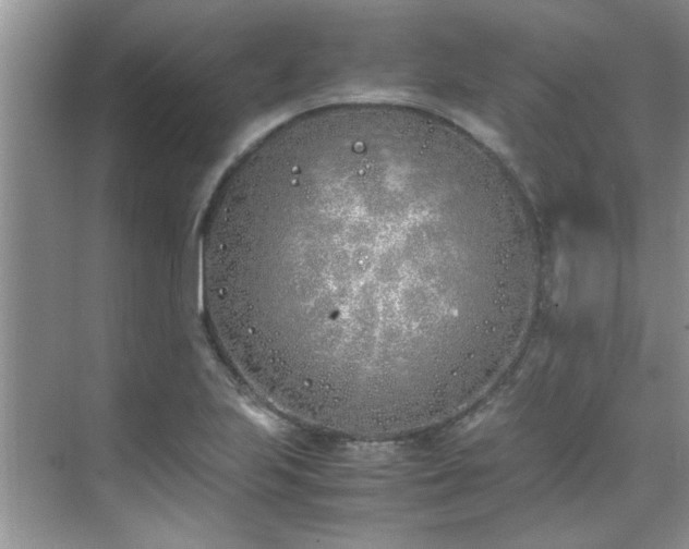 X0000070431223200606161455