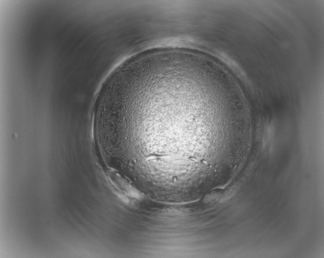 X0000070431224200606161455