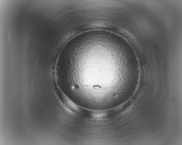 X0000070431225200606161455