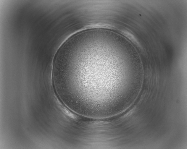 X0000070431228200606161455