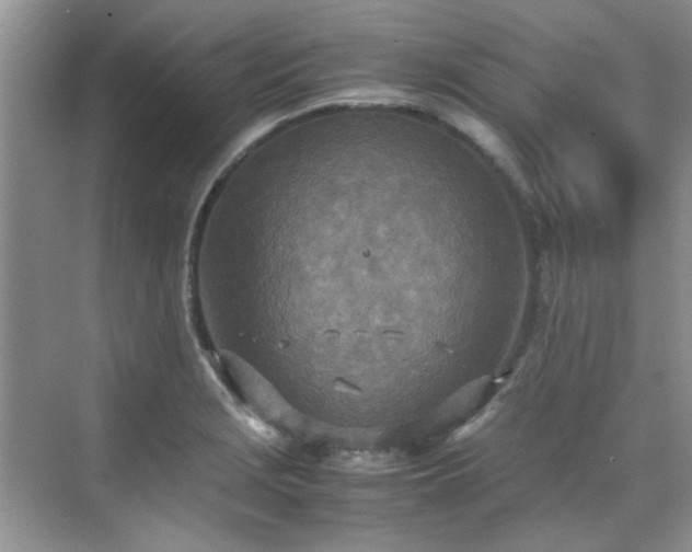 X0000070431229200606161455