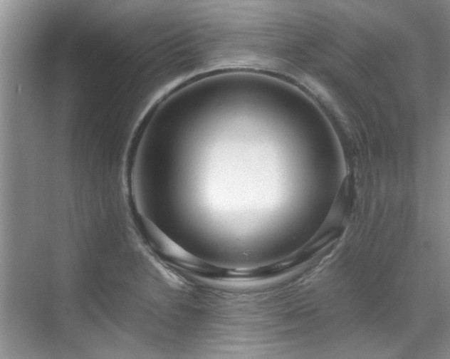 X0000070431230200606161455