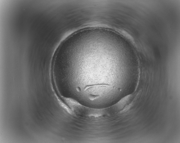 X0000070431231200606161455