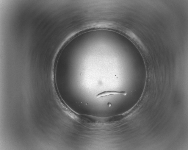 X0000070431232200606161455