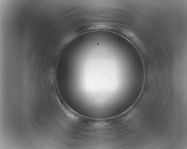 X0000070431233200606161455