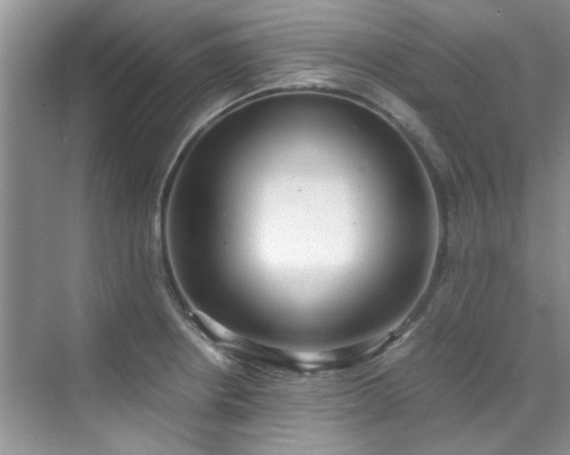 X0000070431234200606161455