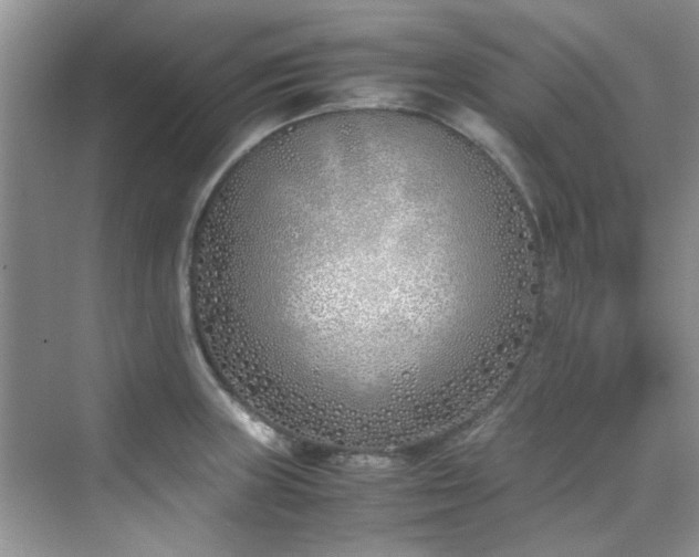 X0000070431235200606161455