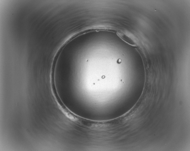 X0000070431237200606161455