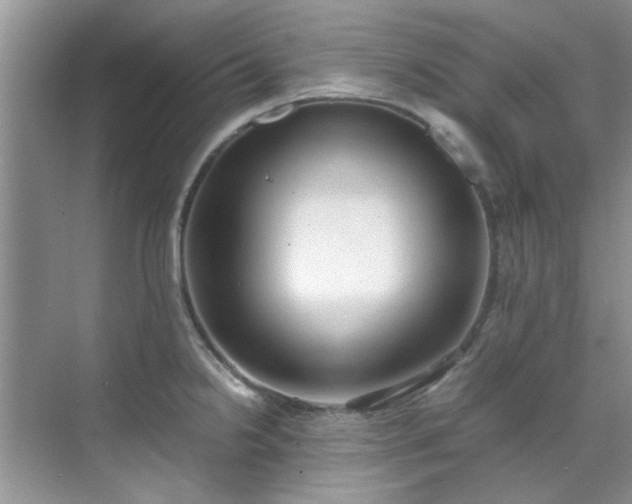 X0000070431238200606161455