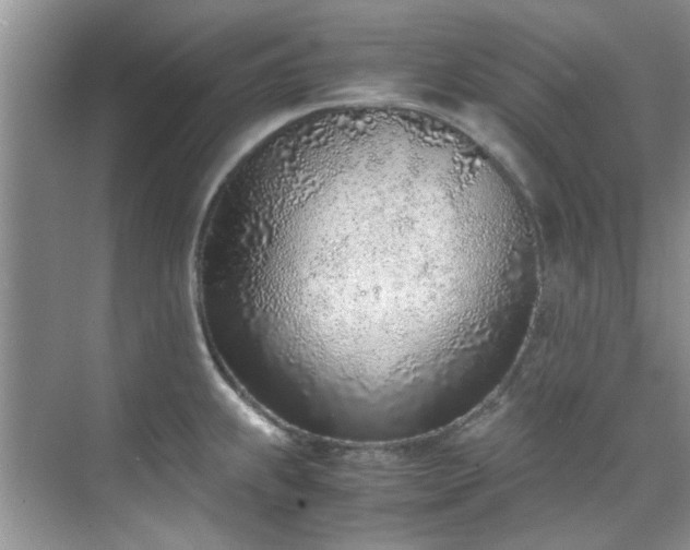 X0000070431239200606161456