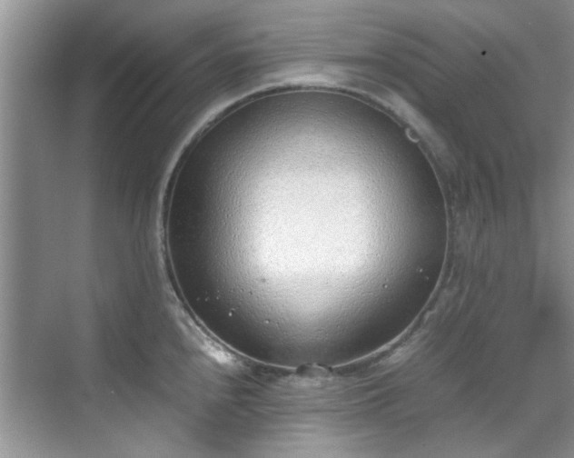 X0000070431240200606161456