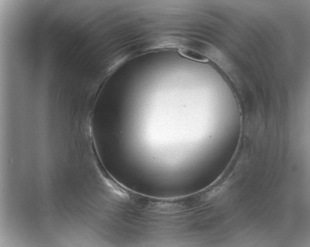 X0000070431241200606161456