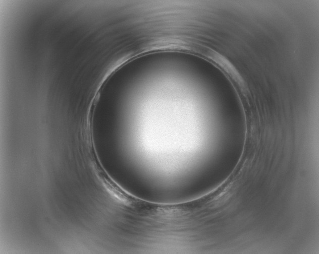 X0000070431242200606161456