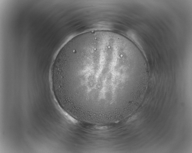 X0000070431243200606161456