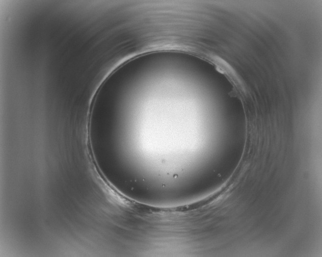 X0000070431244200606161456