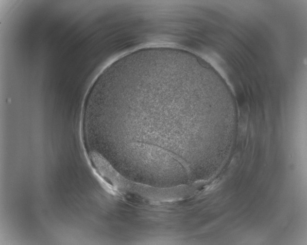 X0000070431245200606161456