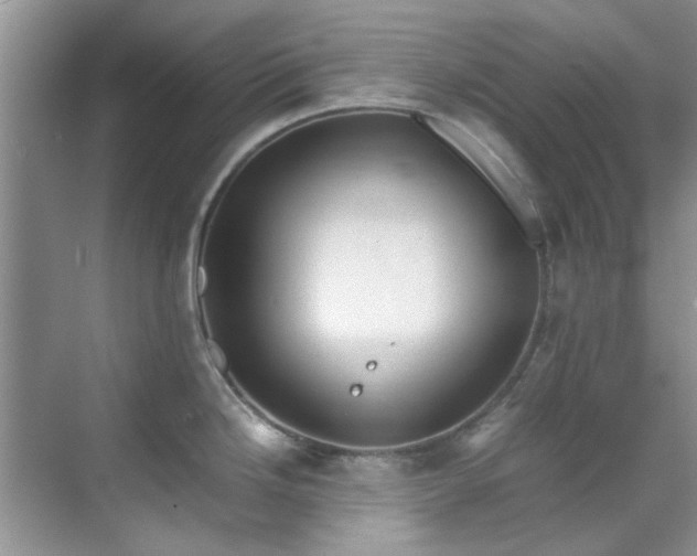 X0000070431246200606161456