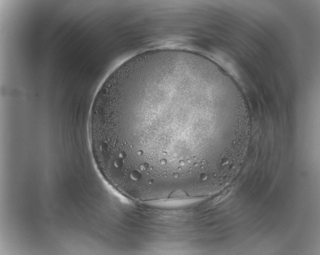 X0000070431247200606161456