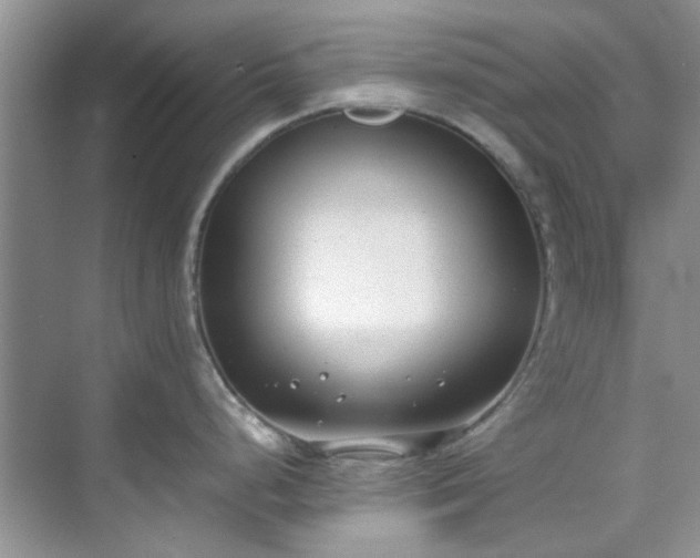 X0000070431248200606161456