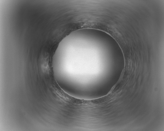 X0000070431250200606161455