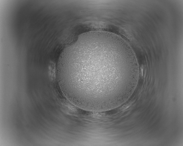 X0000070431251200606161455