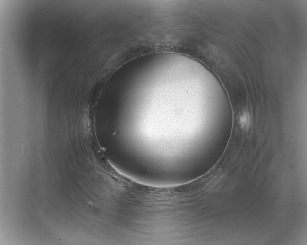 X0000070431252200606161455