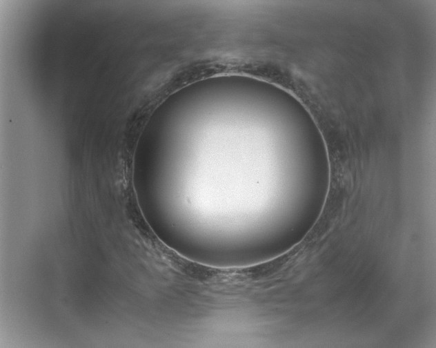 X0000070431253200606161455