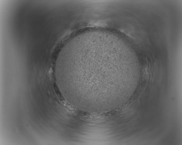 X0000070431254200606161455