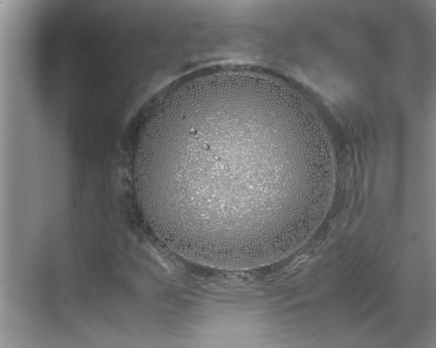 X0000070431255200606161455